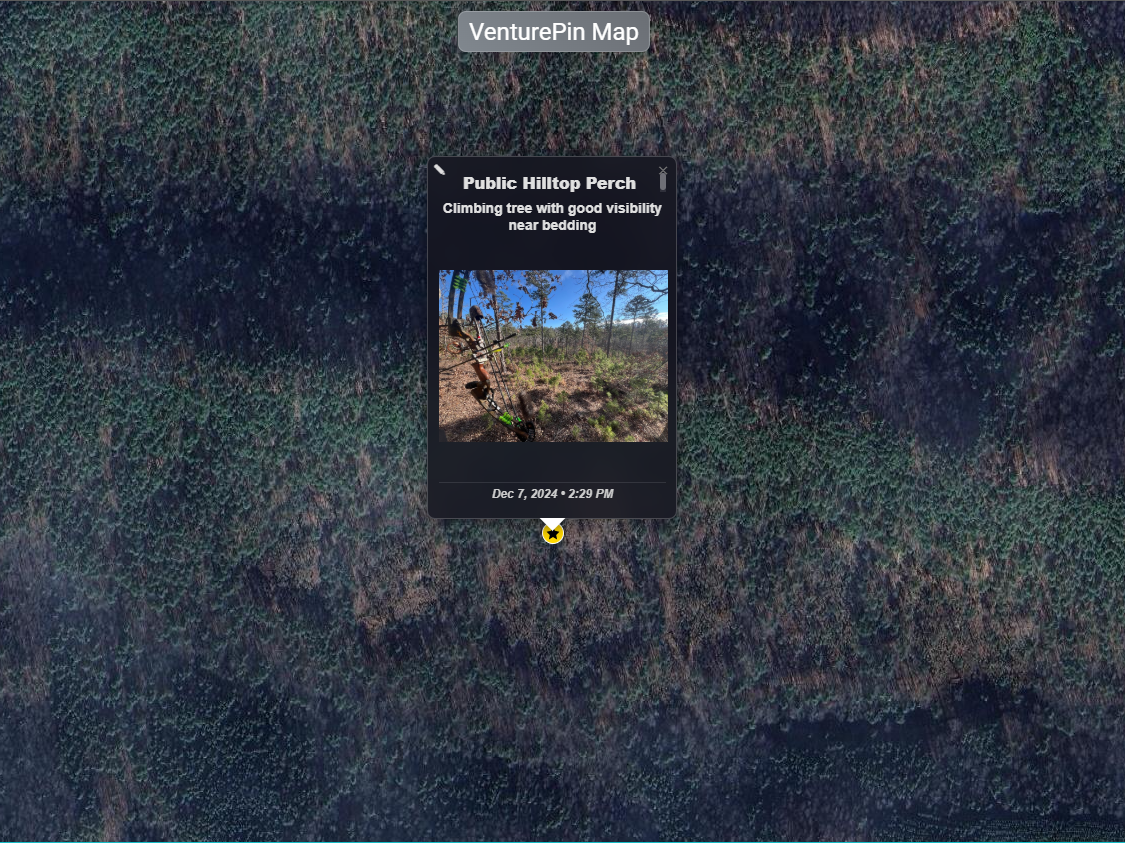 Custom POI Editing Interface